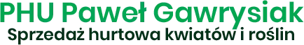 Hurtownia roślin i kwiatów – Poznań, Łódź – PHU Paweł Gawrysiak